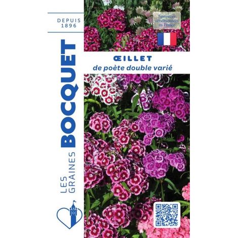 Oeillet de poète double varié - 1,5g