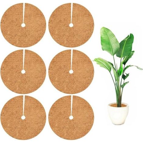 Disque de Fibre de Coco pour Plante,Toile de Paillage Jardin Tapis de Coco Plantes Protège Les Racines des Plantes Disques 20cm (1/5)