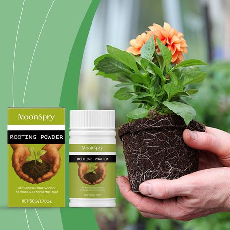 Stabiles Wurzelbildungspulver, geeignet für alle Pflanzen und Blumen, schonende und langanhaltende Wurzelnährung – 50 g -- DE (1/5)
