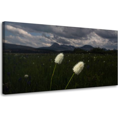 Leinwanddruck Natur Wildblumen 80x40 cm