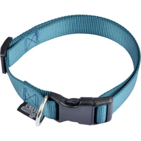 Collier Réglable pour Chien "Essentiel" 35cm Émeraude (1/5)