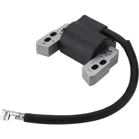 Module de bobine d'allumage de moteur en métal 802574 796964 adapté pour Briggs et Stratton (1/5)
