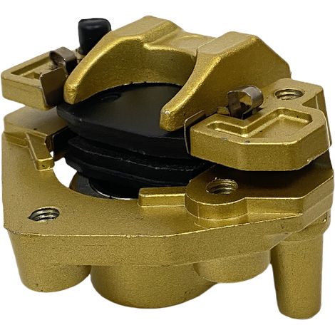 Caliaper WS150 motorcycle brake caliper compatible with Caliaper WS150 “Little Princess” brake caliper accessories.--DTEKGAZ