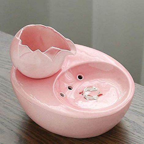 Abreuvoir en céramique pour chat - Circulation automatique d'eau filtrée - Santé et hygiène (1/3)