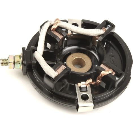 Charbon pour démarreur Briggs & Stratton. 395537 (1/4)
