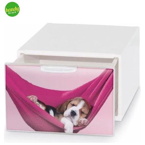 Box deco Domoliving qbox mini pets bianco 10,5 x 15,5 x 20 cm