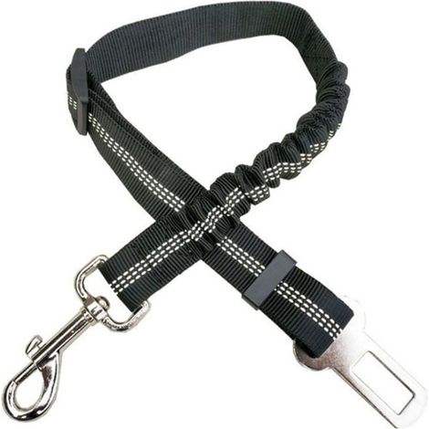 Laisse Pour Chien - 70 cm - 2,5 cm - Réglable 5 à 10 m - Pivotante 360° - Réfléchissante - Lot de 2 (1/5)