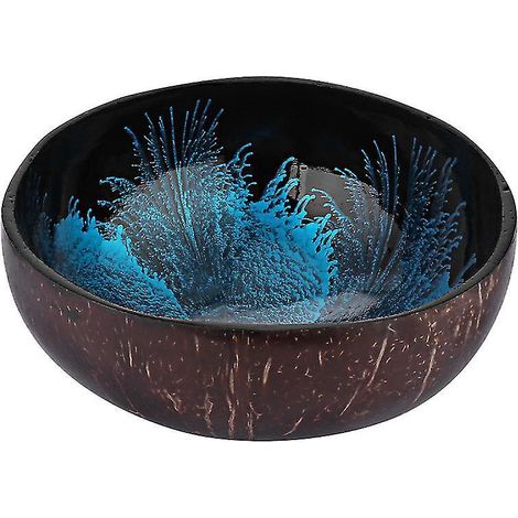 Boîte de rangement en coquille de noix de coco pour le rangement (1/3)