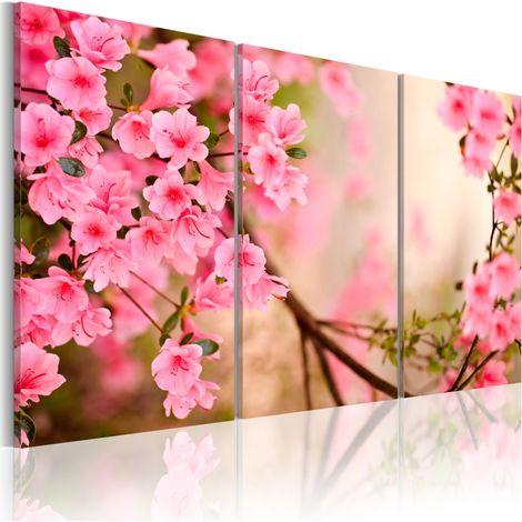 Quadro - Fiore di amarena - 90x60 (1/4)