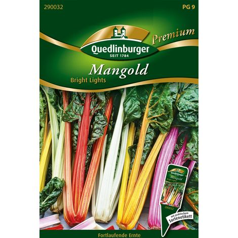 Quedlinburger Saatgut – Bette Bright Lights – Graines de légumes Premium, tiges jaunes, rouges et blanches (1/2)