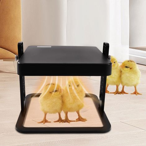 10"x10" Chick Brooder/Heat Plate with Adjustable Height for up to 15 chicks (1/5)