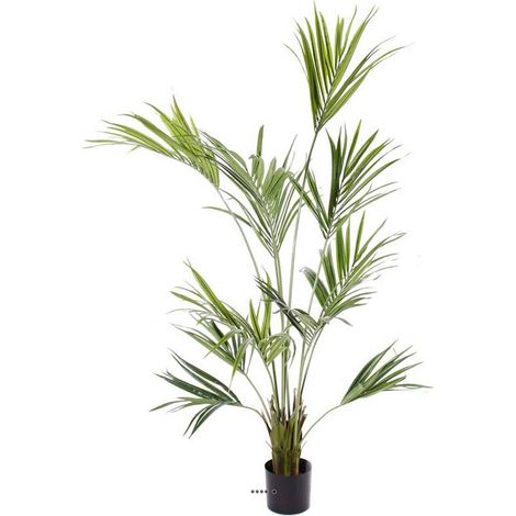 Palmier Kentia Artificiel Howea H 180 cm 192 feuilles en pot - dimhaut: H 180 cm - couleur: Vert