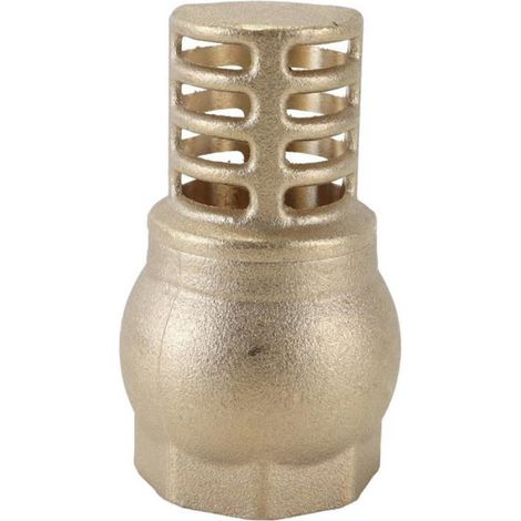 Clapet Anti-Retour En Laiton Dn25 Avec Panier Filtrant, Vanne De Fond De Pompe À Eau En Laiton Pour Pompes De Puits Profonds, Syst (1/5)