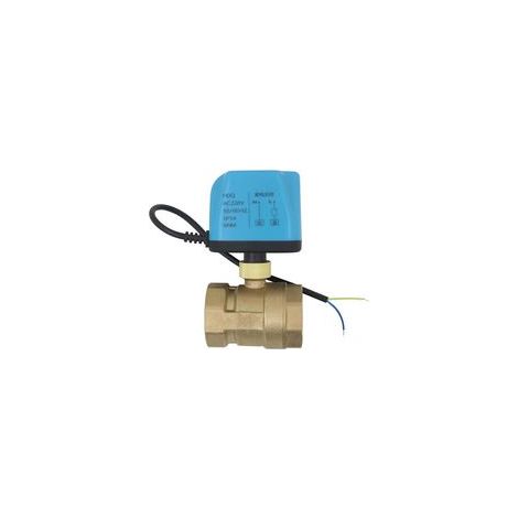 2-Draht-Motorventil, 220-V-Motorkugelhahn, NC (normalerweise geschlossen), 1/2", 3/4", 1", 1-1/4", 1-1/2", 2" (DN25-1") (1/5)