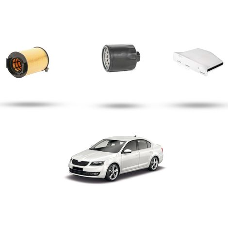 Kit tagliando 3 filtri compatibile con Skoda Octavia II 1.6 75kw Dal 2004 al 2013 (1/5)