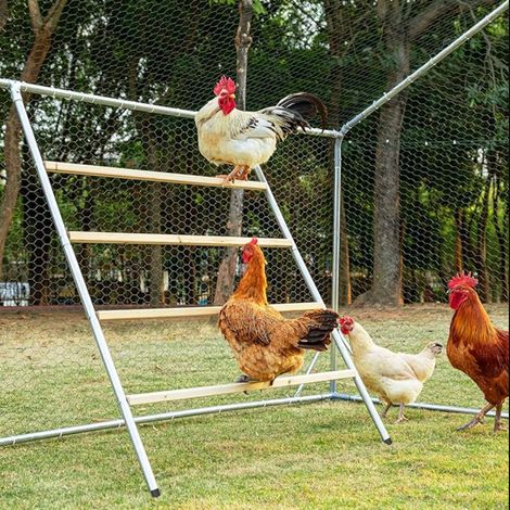 Square Chicken Perch, for Backyard Poultry, Parrot Bird Perch for Chicken Coop, to Assemble (1/5)