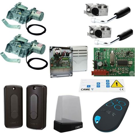 Kit Automazione Per Cancello a Battente CAME U1924 FROG-AE Motore Interrato 230V (1/5)