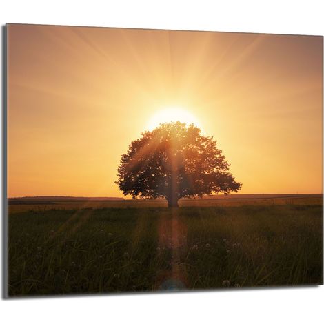 Protezione per piano cottura in vetro 60x52 Tree (1/5)