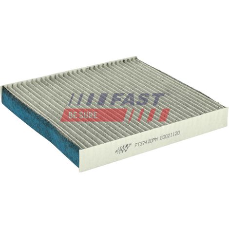 FT37420PM Schnell-Antiallergie-Kabinenfilter (1/3)