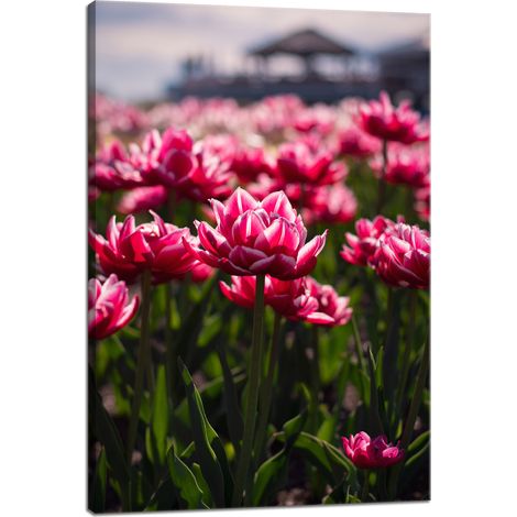 Leinwanddruck Botanik Tulpen Blumen 40x60 cm Blumenstrauß