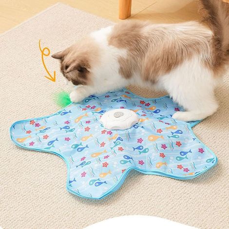 Chat avec 2 Accessoires pour Chat, Jouet Amusant pour Faire l'exercice et Jouer à avec Les Pattes des Chatons, Poisson