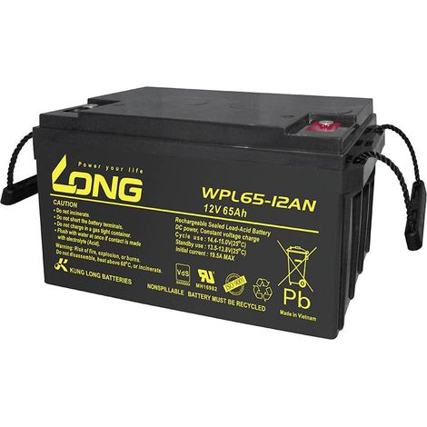 Long WPL65-12AN-M WPL65-12AN-M Batterie au plomb 12 V 65 Ah plomb (AGM) (l x H x P) 350 x 179 x 167 mm raccord à vis M6 auto-décharge réduite, sans C634252