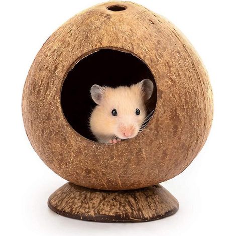 Natürliches Kokosnusshaus, Hamsterhaus, für Reptilien/Amphibien (1/5)