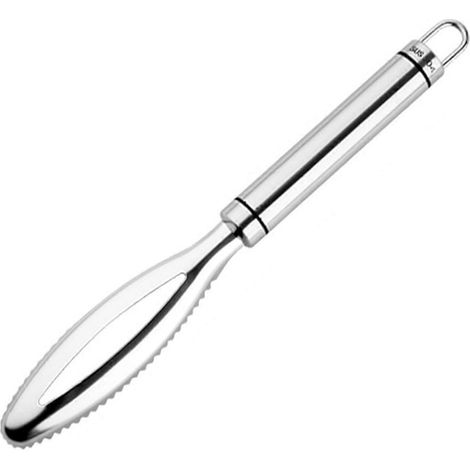 Outils pour nettoyer le poisson, brosse à peau de poisson, grattoir à écailles, éplucheur d'écailles (1/5)