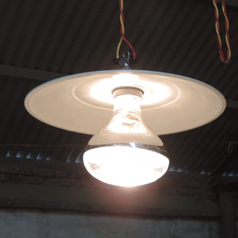 MINE Lampe Chauffante De Reptile, 250W (1/4)