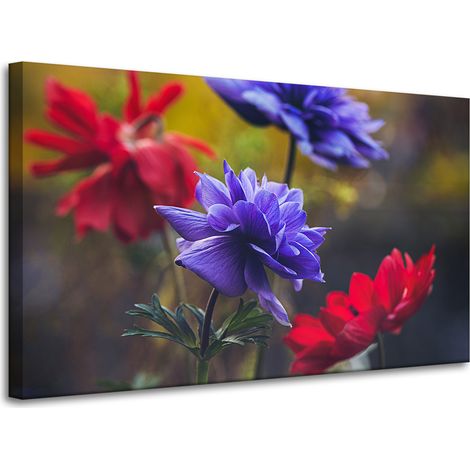 Leinwanddruck Botanik Wildblumen 100x60 cm