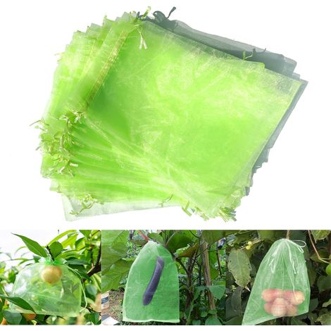 Sac Protection Fruits, Sachet Protection Raisin 100 Pièces, 20x30cm, pour Protéger Les Grappes de Raisin des Frelons et des Oiseaux (1/5)
