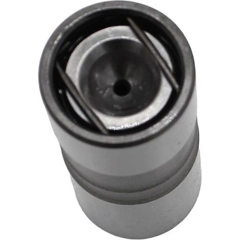 poussoirs de soupape hydrauliques pour arbre à cames 5137206 (1/5)