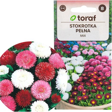 Semillas mixtas de margarita doble R2573 0.2 g color de flores (1/4)
