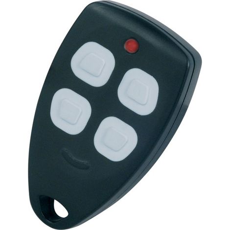 Elektro bock WS111 Schlüsselanhänger Fernbedienung