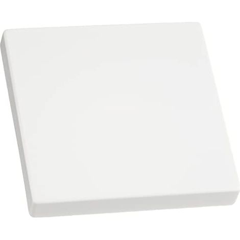 Copertura interruttore busch-jaeger 1751-0-2749 protezione polvere 8 cm (1/4)