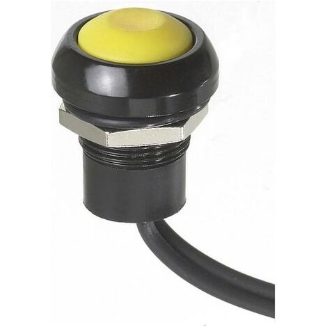 APEM ICR3SAD7/1 ICR3SAD7/1 Bouton-poussoir 28 V/DC 5 A 1 x Off/(On) à rappel IP67 1 pc(s) D74896 (1/2)