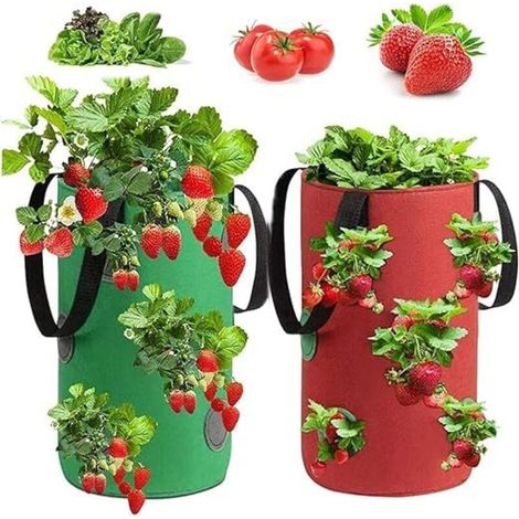 2 Pièces Sac De Plantation Fraises, Sac Culture Fraises, Sac de Culture de Fraises en Non Tissé, Sac à Fraisiers,pour Fraises, Herbes, Fleurs (3Gallon, 20x35CM) (1/4)