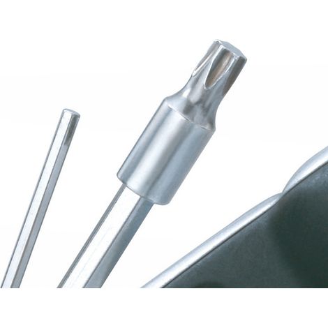Embout Torx T25 Pour Multi-outil Vélo - Compatible Hexus Ii X - Topeak