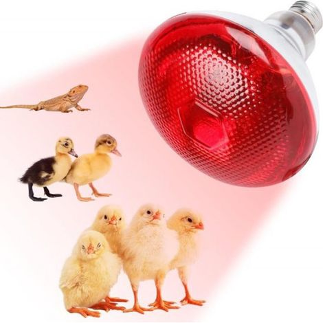Lampe chauffante pour reptiles 250 W, lampe infrarouge E27 pour animaux de compagnie (1/5)