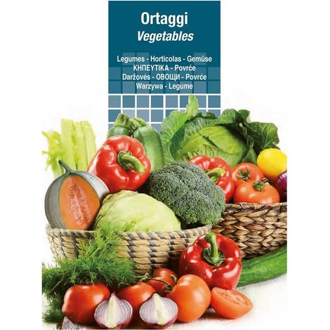 SEMI PER ORTAGGI E VEGETALI lattuga verde degli ortolani