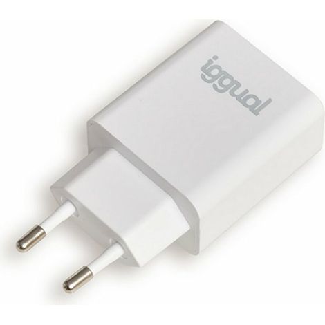 Caricabatterie da Parete iggual IGG318164 20 W (1/4)