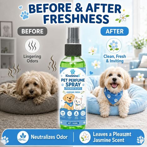KineShineX Jasmine Haustierduft – Geeignet für Katzen und Hunde, beseitigt Gerüche, desodoriert, pflegt das Fell und hinterlässt einen langanhaltenden Duft (1/5)