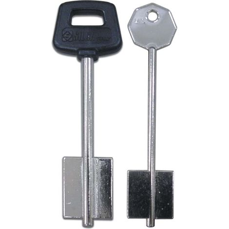 Chiave a Pompa Atra 5AT3 Silca Ottone Nichelato 5 Pezzi