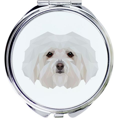 Bolognese - uno specchio con foto e iscrizione geometrica di Art-Dog (1/3)