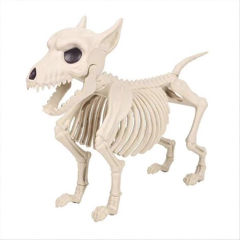 Décorations d'Halloween Chien Squelette - Animaux Squelettes Articulés (1/5)