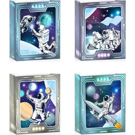 Geschenktüte L Cosmos