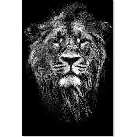 Affiche animaux portrait de lion noir et blanc - 40x60cm - made in France