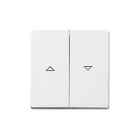 Busch-Jaeger Wippe aws Busch-balance SI 2504-914 (1/5)
