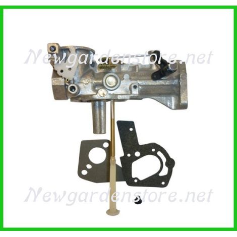Carburador motor tractor de césped BRIGGS&STRATTON 498298 ORIGINAL