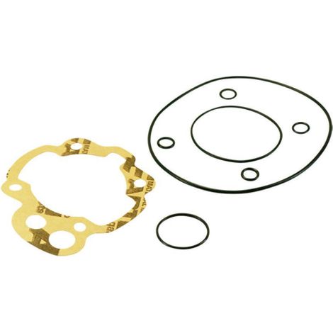 mvt motor dichtung für rieju 50 rr enduro neu